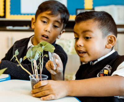 The Archdiocese of Los Angeles STEM Network is launched.